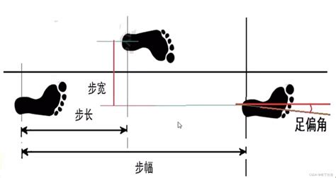 1步幾公分|在线 步长计算器